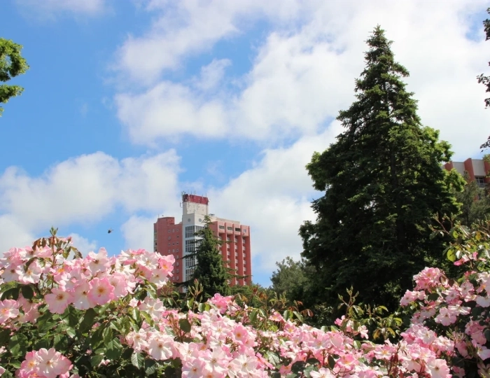 Санаторий «Голубая даль» Дивноморское